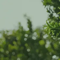Some useful links